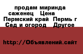 продам миринда саженец › Цена ­ 500 - Пермский край, Пермь г. Сад и огород » Другое   